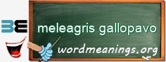 WordMeaning blackboard for meleagris gallopavo